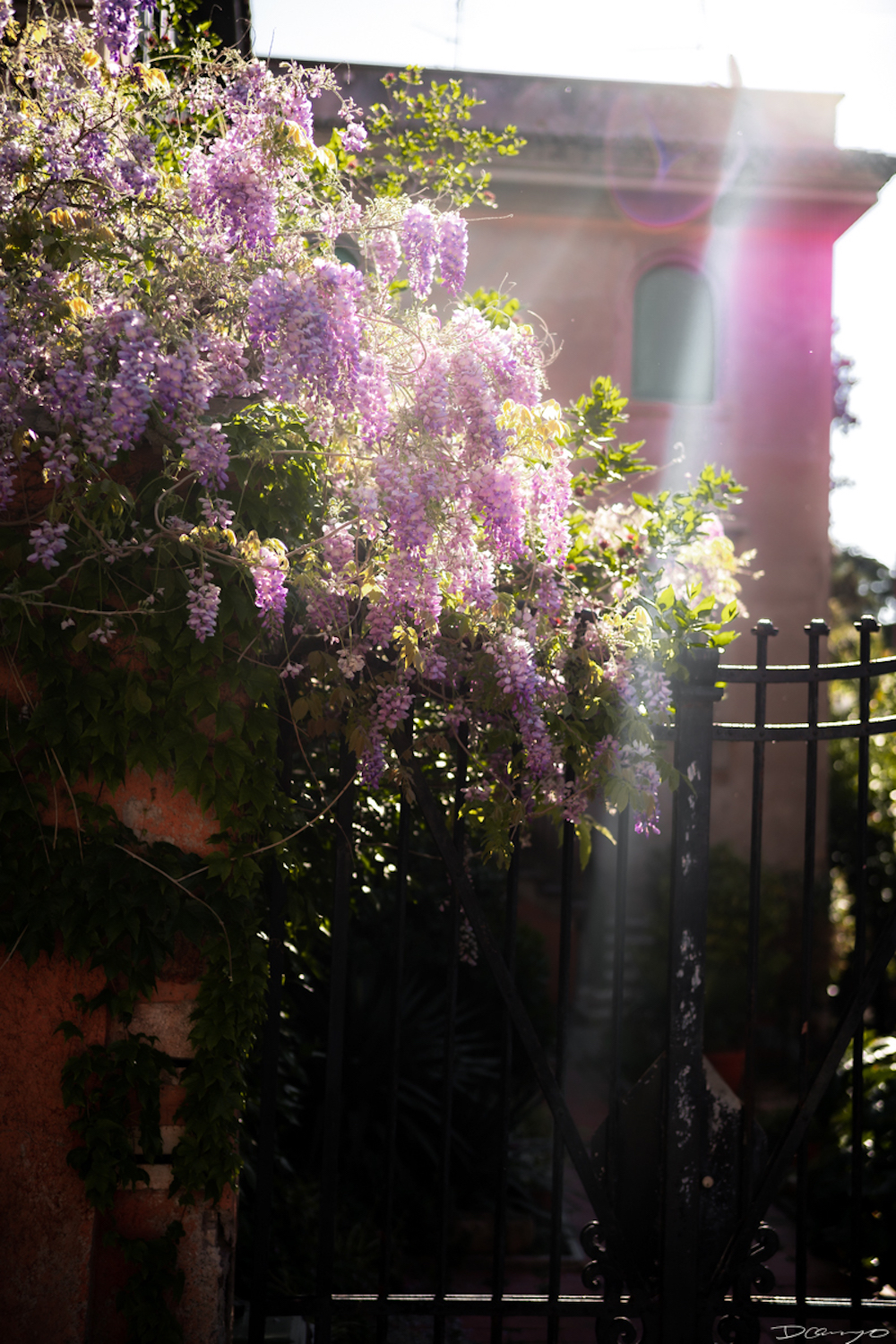 Photos from Venice, Florence, Tuscany, in Spring of 2022.